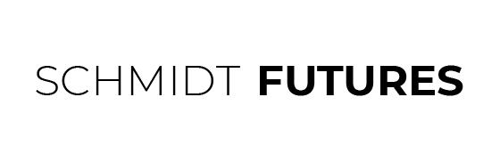 Schmidt logo